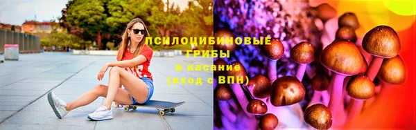 дурь Алексин