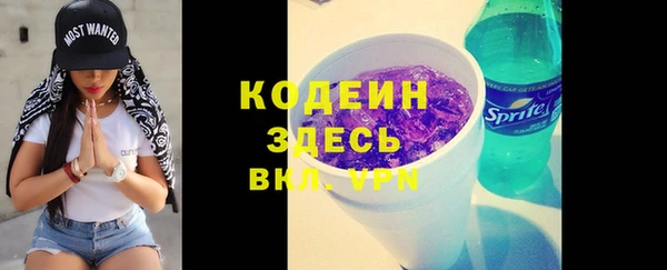 дурь Алексин