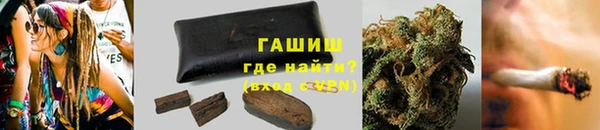индика Алзамай