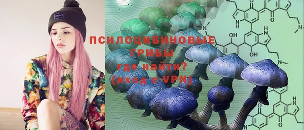 дурь Алексин