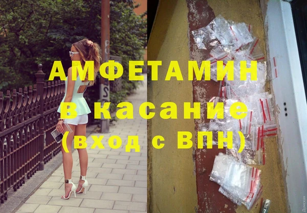 индика Алзамай