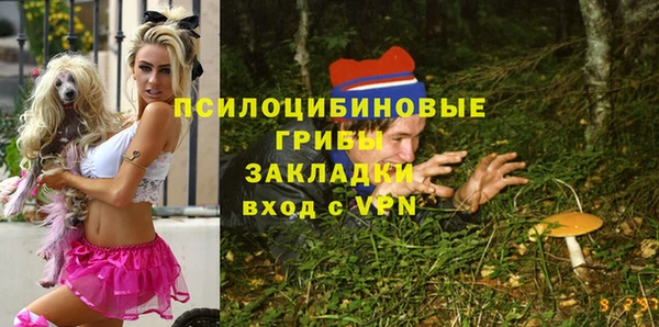 индика Алзамай
