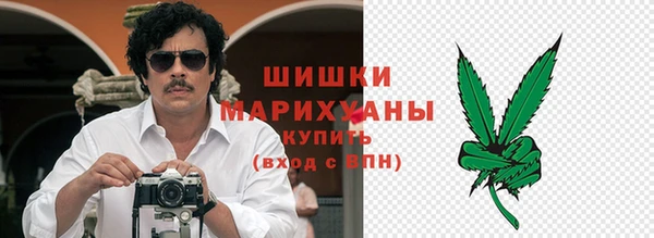 прущие грибы Аркадак
