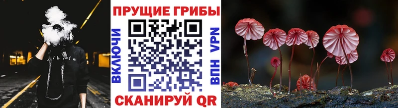 Псилоцибиновые грибы Psilocybe  Коломна 